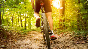 Escursioni in MountanBike